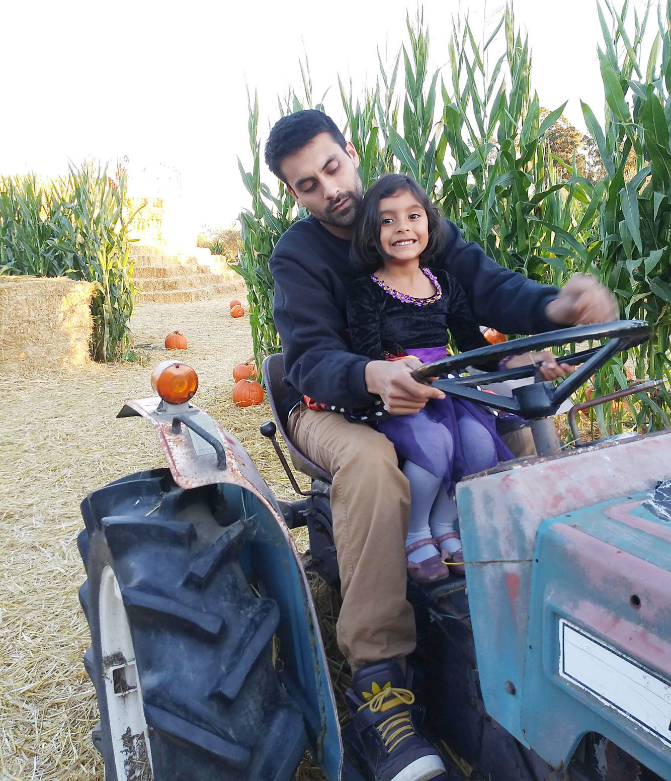 Pumpkin Patch